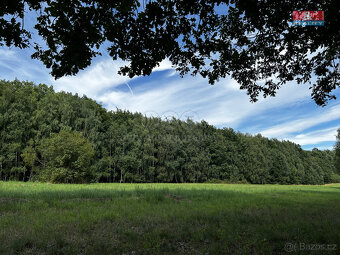 Prodej louky, 7691 m², Petrovice u Karviné - 6