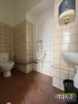 Prodej nebytových prostor a bytu v Chlumci nad Cidlinou - 6