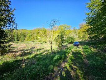 Prodej zahrady 3670m2 nedaleko Litoměřic - 6