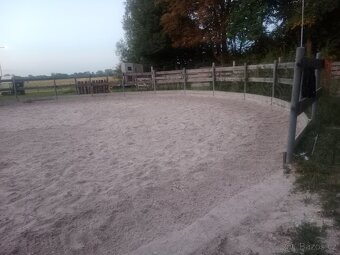 Pastevní ustájení u Pardubic - 6