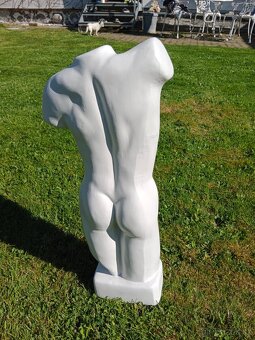 Torzo mužského těla 50 cm - 6
