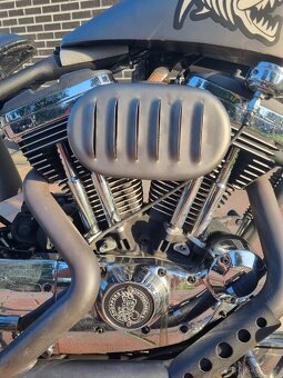 Harley Davidson Softail Custom 1200 - 6