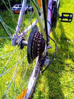 Frera 24" - 6
