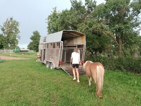 Koňský tábor , tábor s konmi, koně, jezdecký pobyt - 6