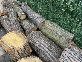 Dřevo z lípy - 6