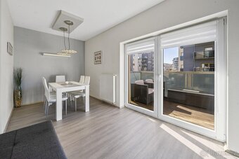 Prodej bytu 2+kk, 74 m2, Plzeň, ul. U Velkého rybníka - 6