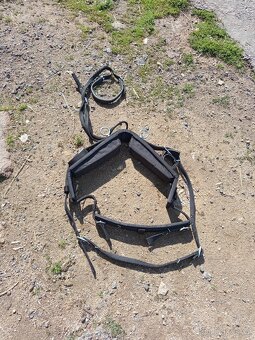 Postroj na pony kolem 100 kvh - 6