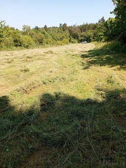 Zahrada u Loun, v obci Brodec, krásné okolí - 6