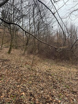 Prodej pozemků k.ú. Huslenky (2) - 6