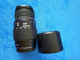 Canon EOS-1 Mark IV + objektiv Sigma 70-300 mm - 6