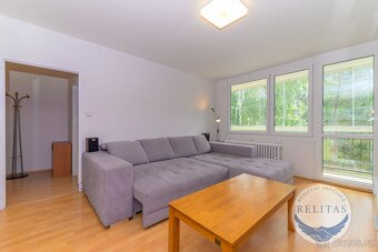 Pronájem bytu 3+kk 65 m² - 6