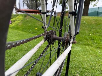 Prodám fixie/singlspeed kolo TRIBE - 6