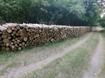 Predám palivové drevo Dub Jaseň - 6