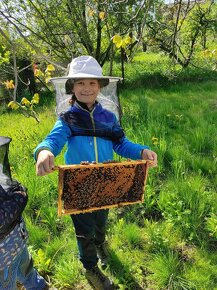 Pampeliškový med (sirup) - 6