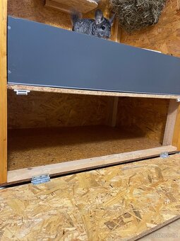 Prodám voliéru pro činčily + dvě činčily (bratři, 3 roky) - 6