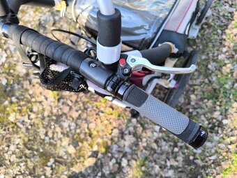 Thule chariot CX1 - 6