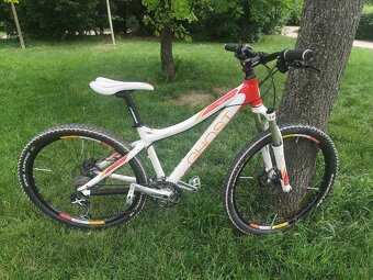 Juniorské kolo 26, 11,2kg - 6