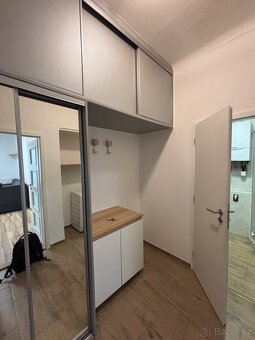 Byt U prvni baterie, 2kk, 50m2, s vychodem na zahradu - 6