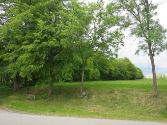 Orná půda - pozemek 2539m2 Božejovice - 6