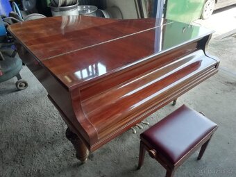 Klavírní křídlo - 6