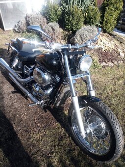 Honda VT 750 DC Black Widow - 6