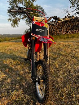 Pitbike LXR 155 - 6