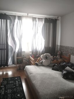 2+1 Ústí nad Labem, 2+1 sídliště Mojžíř - 6