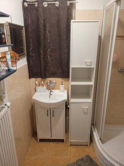 Pronájem bytu 2+1 - 6