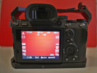 Sony A7III + FE 28-60 - 6