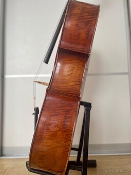Violončelo - 6