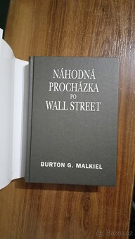 Náhodná procházka po Wall Street - 6
