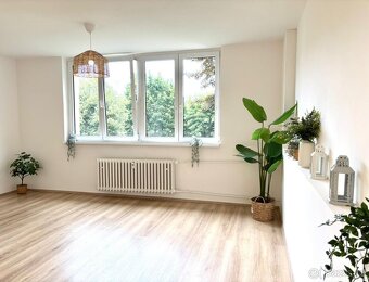 Pronájem bytu 2+kk v ulici J. A. Komenského 317 v Meziboří - 6