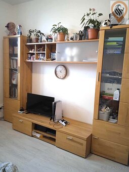 Pronájem zařízeného bytu 1+KK včetně televize, Rozvojová zón - 6
