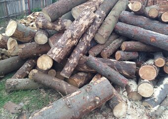 Palivové dřevo měkké - 6