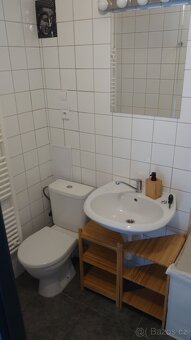 Byt 1+1+terasa v Plzni na Slovanech - 6