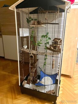 Vakoveverka - POUZE OSOBNÍ ODBĚR - 6