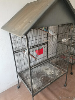 Korely + voliera - 6