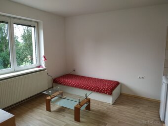 Pronájem bytu 1+kk 25 m2 Dobrotice - 6