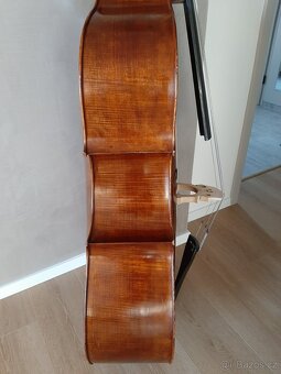 Kontrabas 3/4 celomasiv - 6