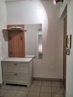 Pronajmu byt 1+1 50m2 v Ostravě se zahradou - 6