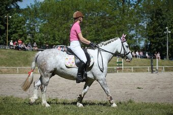 Podsedlovky - 6