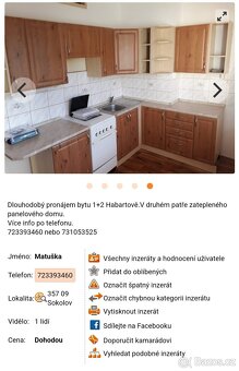 Pronajmu byt 1+2 v Habartově - 6