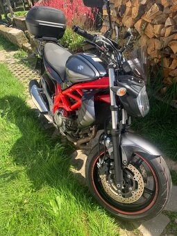 Suzuki SV gladius 650 - 6