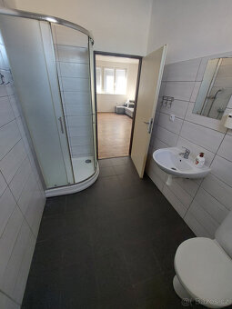 Pronájem bytu 1+1,40 m2,Boršice u Buchlovic - 6