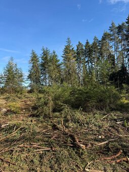 Prodej lesního pozemku v k.ú.Domašín okr.Vlašim - 6
