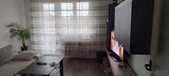 Byt 3+1 cihla Plzeň Bory Máchova ulice - 6