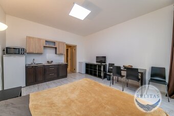 Pronájem bytu 1+kk 31 m², u stanice metra Flora - 6