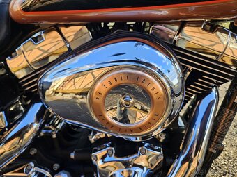 HARLEY DAVIDSON DYNA LOW RIDER 96CU Twin cam EDICE 105th - 6