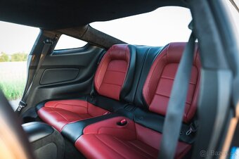 Mustang GT 2016, 89 tis. km, manuál, performance, USA - 6