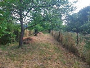 Prodám zahradu v Brně v Obřanech 496 m2 - 6